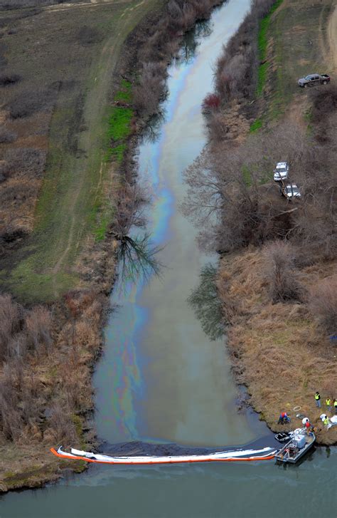 Used motor oil leaks into river, coating dozens of birds ...