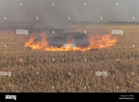 Fire In The Field Of Wheat Stubble Stock Photo Alamy