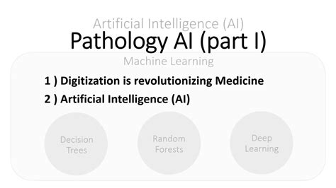 Artificial Intelligence Ai In Pathology Lecture Series Part Iiii