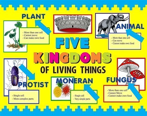 Think In English The 5 Kingdoms Of Living Things And Ecosystems
