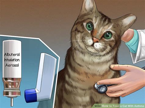 How should i take cyproheptadine (periactin)? 4 Ways to Treat a Cat With Asthma - wikiHow