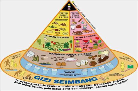 Piramida Makanan Panduan Makan Sehat Beserta Contoh Doktersehat Riset