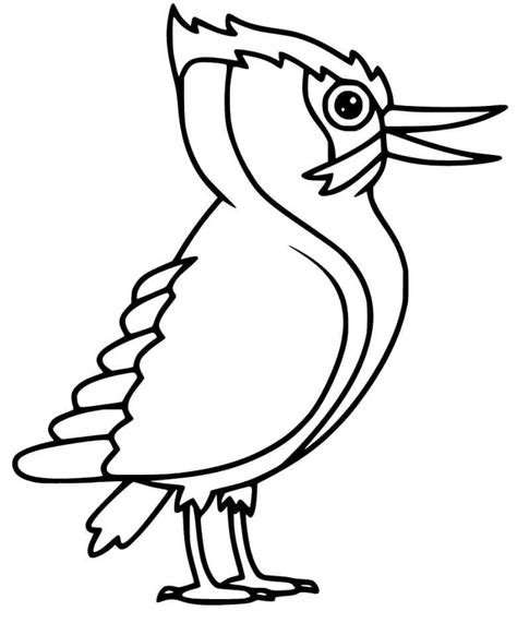 Pájaro Carpintero Divertido Para Colorear Imprimir E Dibujar