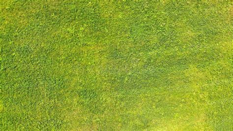 Aerial Green Grass Texture Background Stock Photo Image Of Design