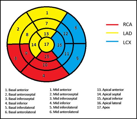 Cureus Role Of Late Gadolinium Enhancement In The Assessment Of