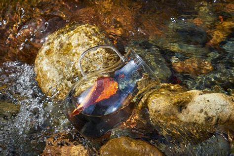 Cool Clear Water Of The Mountain River Stock Photo Image Of Pitcher