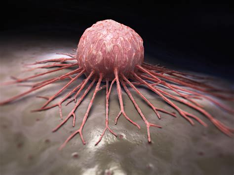 Why is a cancer called a moonchild? El secreto sobre el cáncer que ha sido revelado - Vida Lúcida