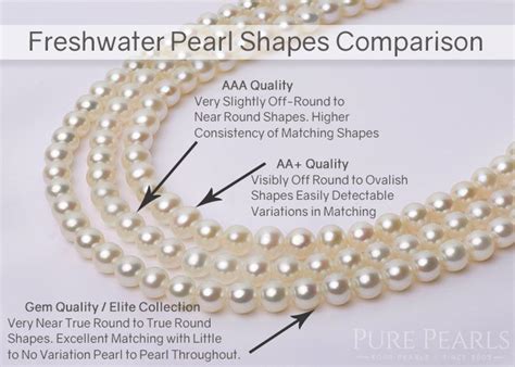 freshwater vs akoya pearls which type of pearls are the best to buy pearls akoya pearls
