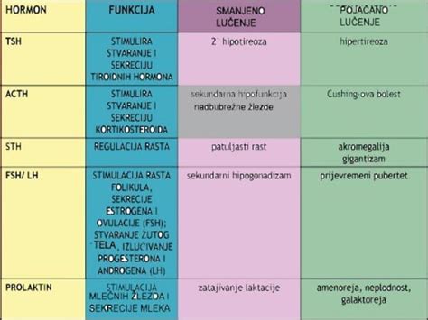 Endokrini Sistem Anatomija I Fiziologija