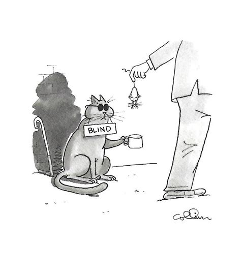 Use it when you are talking about how clawsome (awesome) the perfect cat pun to describe something that is amazingly awesome! Pin by deborah evans on Cat puns | Cat puns, Funny ...