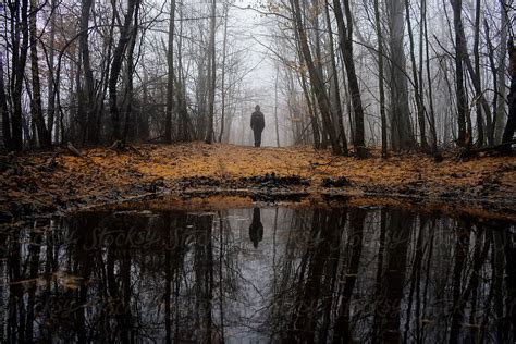 Haunted Lake In Mysterious Autumn Forest By Stocksy Contributor