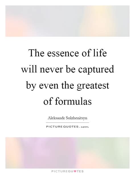 The essence of life is not in the great victories and grand failures, Essence Of Life Quotes & Sayings | Essence Of Life Picture Quotes