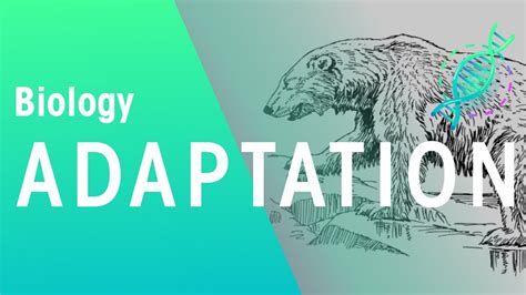 Physical factors or abiotic factors include temperature, water availability, oxygen, salinity, light, food and nutrients; What is adaptation? | Ecology and Environment | the ...