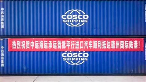 Cosco Shipping Lines Maintains Logistics Chain For International Trade
