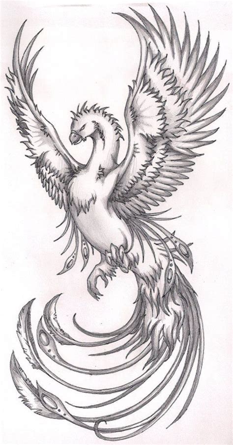 Pin By Melissa Hardinger On Tattoo Phoenix Phoenix Bird Tattoos