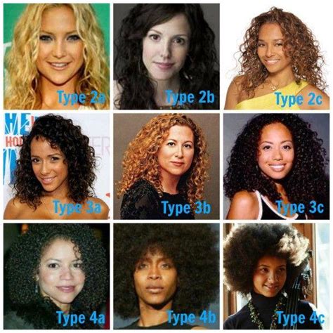 How Do You Know If You Have Type 3 Or Type 4 Hair How To Identify