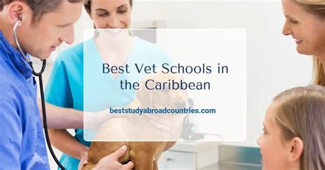 The Best Vet Schools In The Caribbean With Key Facts