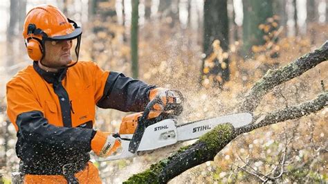 10 Best Stihl Chainsaws Of 2023 Forestry Choice Forestry Reviews