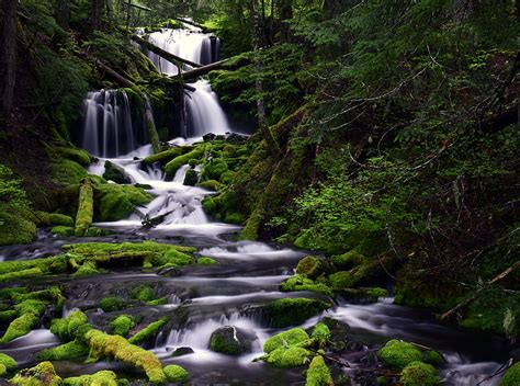 Waterfall Moss Water Stream Trees Hd Wallpaper Peakpx