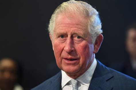 Britain's Prince Charles Tests Positive for CCP Virus