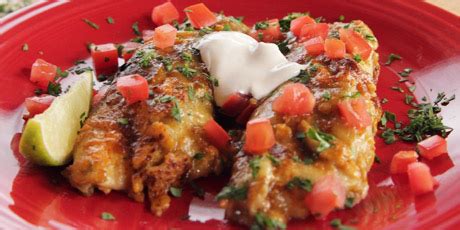 Seal the bag and shake to. The Pioneer Woman's Chicken Enchiladas Recipes | Food ...
