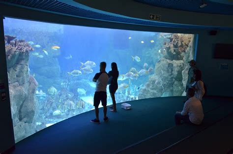 National Marine Aquarium Plymouth Uks Biggest Aquarium