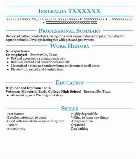 Download to your computer, edit and include your important information such as education and skills. Great Cv Template No Experience Ideas eye grabbing no ...