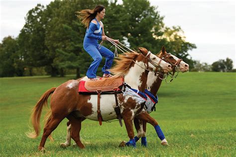 Making A Career Out Of Trick Riding Hoofpick Life Equestrian Magazine