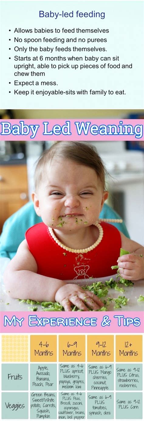 Baby Led Weaning Tips Recipes First Foods And More Baby Led Feeding