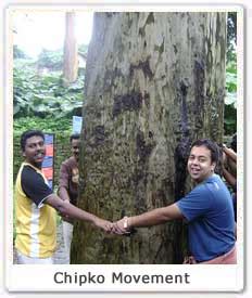 How shekhar pathak wrote the first exhaustive, people's history of the movement. Chipko Movement, Chipko India Movement, Chipko Movement ...