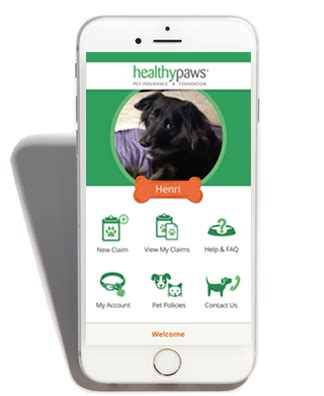 2016 Healthy Paws Pet Insurance Reviews - #1 Rated ...