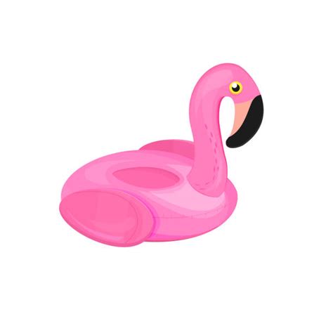 Royalty Free Flamingo Float Clip Art Vector Images And Illustrations