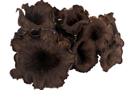 Tout sur la trompette de la mort la choisir la conserver la cuisiner
