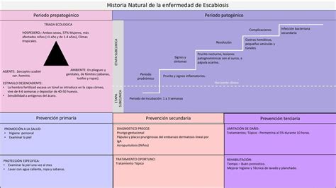Historia Natural De La Enfermedad De Escabiosis Udocz