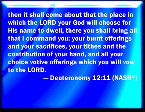 Deuteronomy 1211 Then There Shall Be A Place Which The Lord Your God