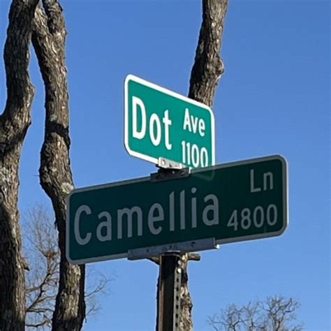 Bossier City man accused of killing his wife at their home on Dot