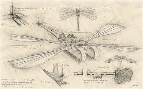 Leonardo Da Vinci Airplane Drawing
