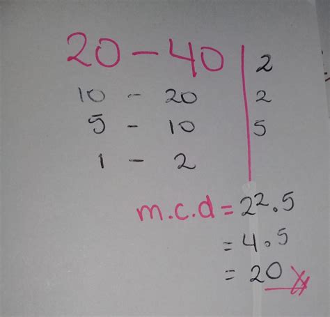 Quais Os Divisores De 40