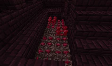 Minecraft Nether Wart Farming In Minecraft 10 Love And Improve Life