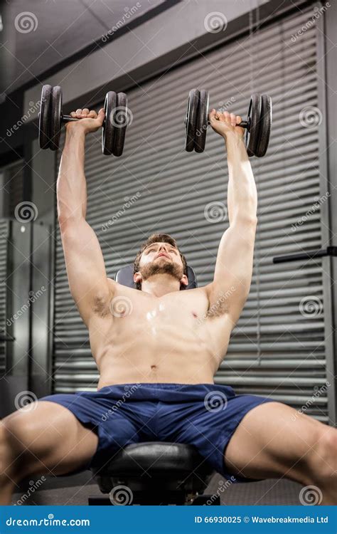 Shirtless Man Lifting Heavy Dumbbells On Bench Stock Image Image Of