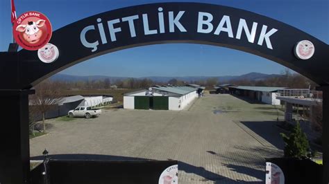 Sizde evinizin rahatlığında çiftlik bank oynayabilir eğlenirken kazanabilirsiniz. Çiftlik Bank soruşturması tamamlandı! - Teknoloji Haberleri