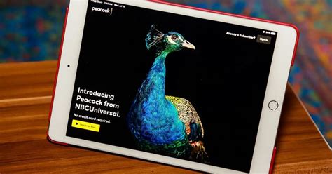 Peacock Everything To Know About Nbcuniversals Streaming Service