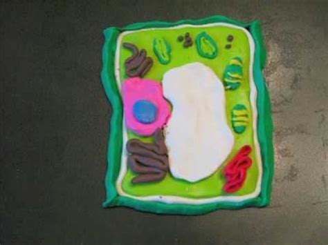 We did not find results for: 17 Best images about Ideas & Cells on Pinterest | Cakes ...