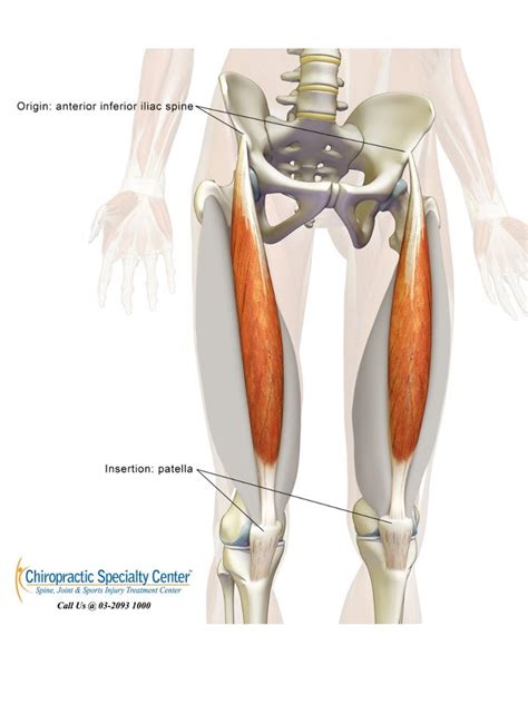 Knee Pain Hip Pain And Rectus Femoris Treatments In Malaysia