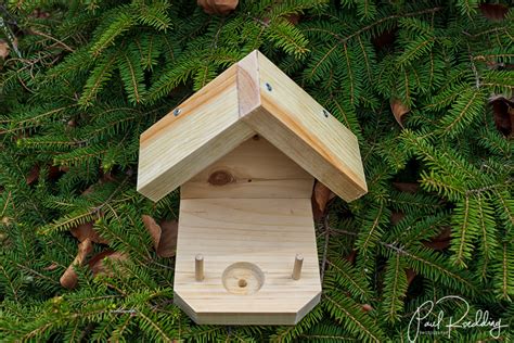 How To Build A Hummingbird Nest Encycloall