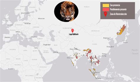 Tigre WWF España
