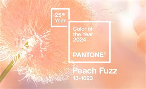 Peach Fuzz Is Pantones 2024 Color Of The Year