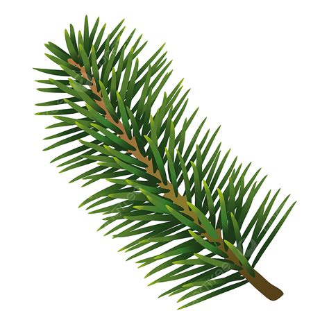 Christmas Pine Leaves Vector Hd Png Images Christmas Pine Leaves Happy Frame Vintage Png