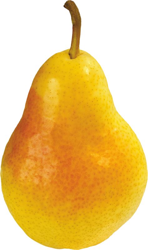 Pear Png Image Transparent Image Download Size 2042x3453px