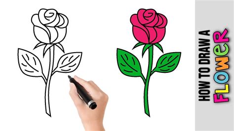 How To Draw A Flower Cute Easy Drawings Tutorial For Beginners Step By